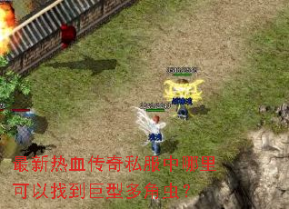 ������Ѫ����˽������������ҵ����Ͷ�ǳ棿