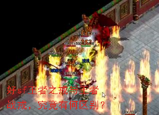 好sf王者之戒与王者战戒,究竟有何区别? 好sf王者之戒与王者战戒,究竟有何区别?