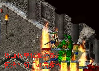 ��Ѫ����˽��װ�����ѡ�����ֱؿ�����