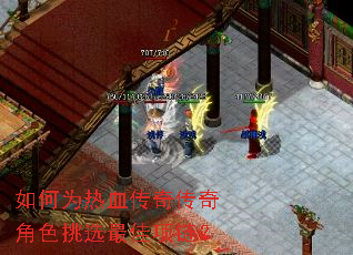 ���Ϊ��Ѫ���洫���ɫ��ѡ���������