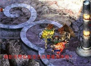 �Ŀ��˽����̬����ֵ�����飿