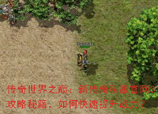 ��������֮�ۣ��´���˽������3�����ؼ�����ο�������ս����