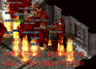 �����ѩ֮�գ�������ο������������Դ�ȫ�����޴�����