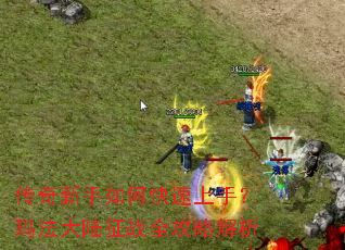 ����������ο������֣��귨��½��սȫ���Խ���