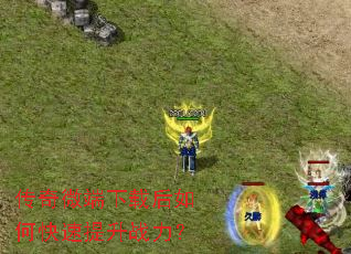 ����΢�����غ���ο�������ս����