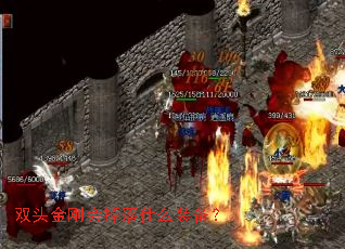 ˫ͷ��ջ����ʲôװ����