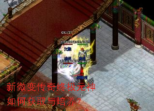 ��΢�䴫���ռ�Ԫ����λ�ȡ��������