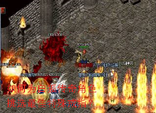 ���Ϊ�׺������ɫ��ѡ��������ָ��