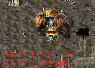 ��ο��������ȼ����ֵ��ǿ���ѧϰ��Ч�弶����