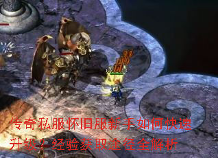 ����˽�����ɷ�������ο��������������ȡ;��ȫ����