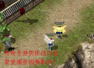 ��������ʵ�ü���Ч������Щ����Ӱ�죿