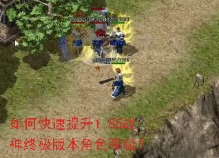 ��ο�������1.85ս���ռ��汾��ɫ�ȼ���