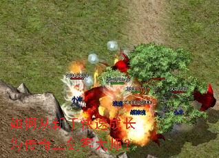 ��δ����ֿ��ٳɳ�Ϊ���������ʹ�ʦ��