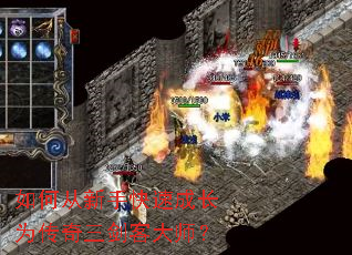 ��δ����ֿ��ٳɳ�Ϊ���������ʹ�ʦ��