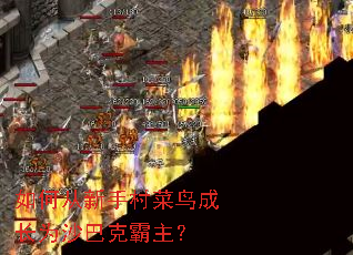 ��δ����ִ����ɳ�Ϊɳ�Ϳ˰�����