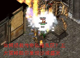 ������ȴ���˽����������������������ɳ��ʢ��