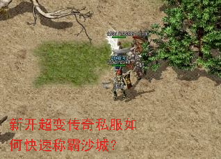 �¿����䴫��˽����ο��ٳư�ɳ�ǣ�