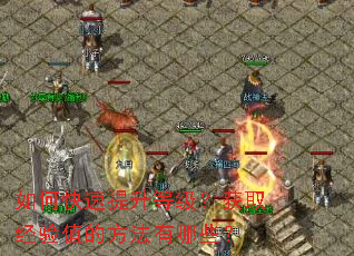 如何快速提升等级?获取经验值的方法有哪些? 如何快速提升等级?获取经验值的方法有哪些?