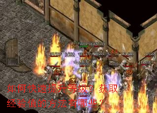 如何快速提升等级?获取经验值的方法有哪些? 如何快速提升等级?获取经验值的方法有哪些?