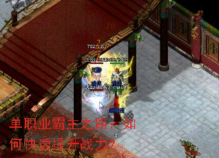 ��ְҵ����֮·����ο�������ս����