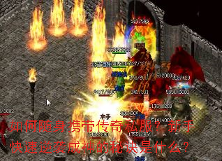 �������Я������˽�������ֿ�����Ϯ������ؾ���ʲô��