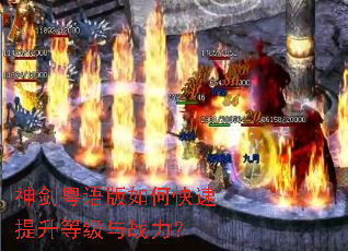 ���������ο��������ȼ���ս����