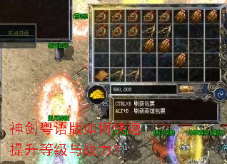 ���������ο��������ȼ���ս����