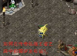 ����ڴ���˽������֮·�гư�SF����վ��