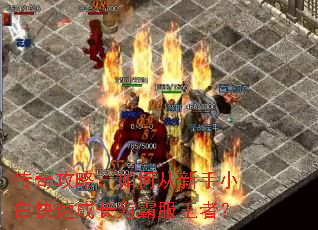 ���湥�ԣ���δ�����С�׿��ٳɳ�Ϊ�Է����ߣ�