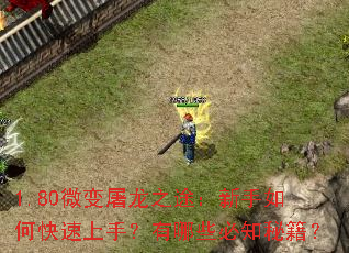 1.80微变屠龙之途:新手如何快速上手?有哪些必知秘籍? 1.80微变屠龙之途:新手如何快速上手?有哪些必知秘籍?