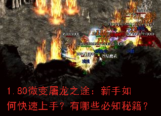 1.80微变屠龙之途:新手如何快速上手?有哪些必知秘籍? 1.80微变屠龙之途:新手如何快速上手?有哪些必知秘籍?