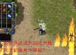 如何快速提升玛法大陆网通新服角色等级? 如何快速提升玛法大陆网通新服角色等级?