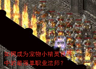 ��γ�Ϊ����С���������е���ǿ��ְҵ��ʦ��