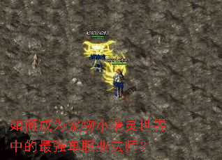 ��γ�Ϊ����С���������е���ǿ��ְҵ��ʦ��