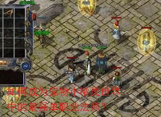 ��γ�Ϊ����С���������е���ǿ��ְҵ��ʦ��