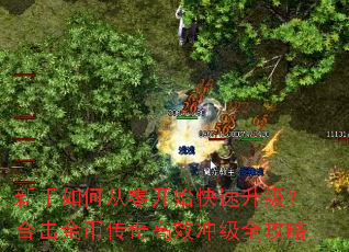 新手如何从零开始快速升级?合击金币传奇高效冲级全攻略 新手如何从零开始快速升级?合击金币传奇高效冲级全攻略