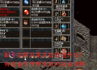 新手如何从零开始快速升级?合击金币传奇高效冲级全攻略 新手如何从零开始快速升级?合击金币传奇高效冲级全攻略