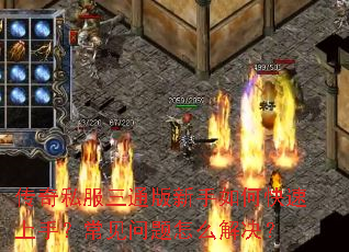 传奇私服三通版新手如何快速上手?常见问题怎么解决? 传奇私服三通版新手如何快速上手?常见问题怎么解决?