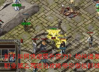 ������ο�������ʵ�����������ְҵ�������׹��Դ������Ⱥ��