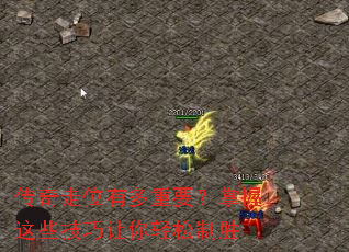 ������λ�ж���Ҫ��������Щ��������������ʤ