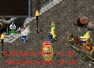 如何快速提升等级?021新传奇私服高手独家心得分享 如何快速提升等级?021新传奇私服高手独家心得分享
