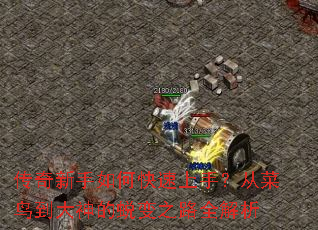 ����������ο������֣��Ӳ��񵽴�����ɱ�֮·ȫ����