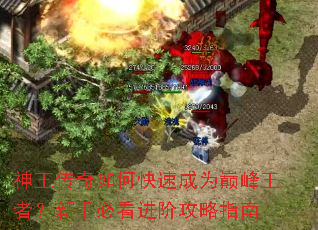 ����������ο��ٳ�Ϊ�۷����ߣ����ֱؿ����׹���ָ��