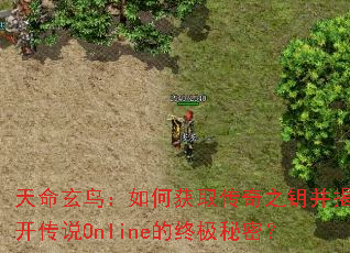 ����������λ�ȡ����֮Կ���ҿ���˵Online���ռ����ܣ�