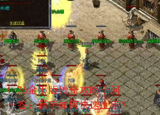 1.76��Ұ洫�湥��ʮ��ʮ��������ο������֣�