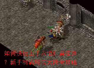 ��ο����������������;�������ư��귨��½ȫ����