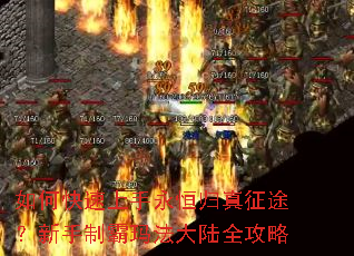 ��ο����������������;�������ư��귨��½ȫ����