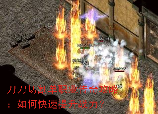 �����иְҵ���湥�ԣ���ο�������ս����