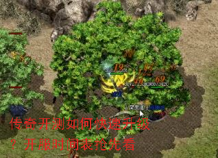 ���濪����ο�������������ʱ������ȿ�