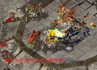 ��ο��������������ѵȼ���